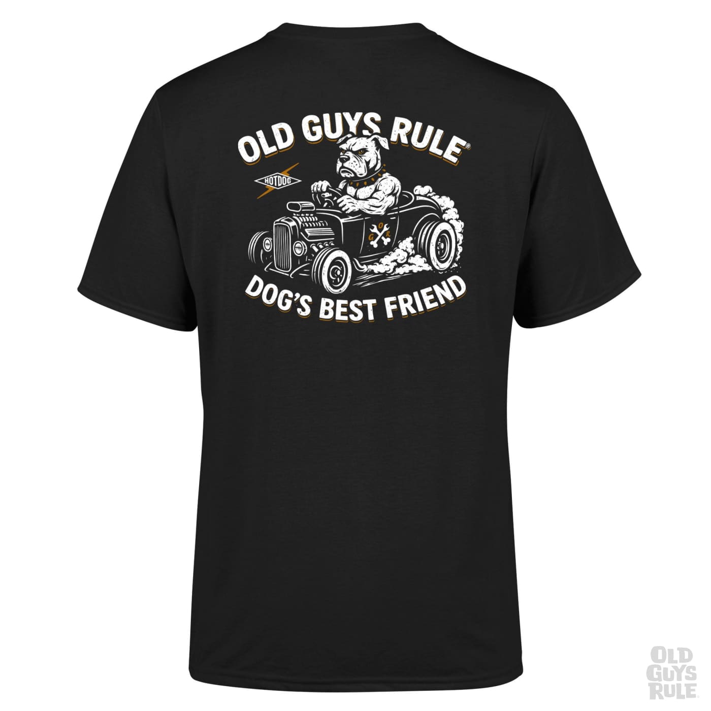 Old Guys Rule Dogs Best Friend V T-Shirt - Black